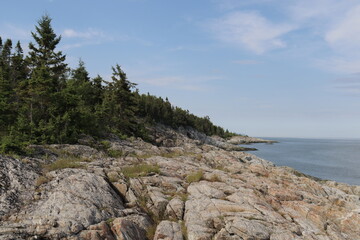 Coastline and geology formation. Rocks and pines on a riverside in Charlevoix in Quebec. Charlevoix landscape and travel.