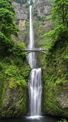 Multnomah Falls with Benson Bridge in Lush Green Forest, Oregon