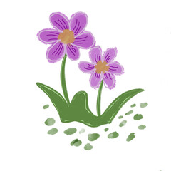 Obraz premium Pink flowers on white background