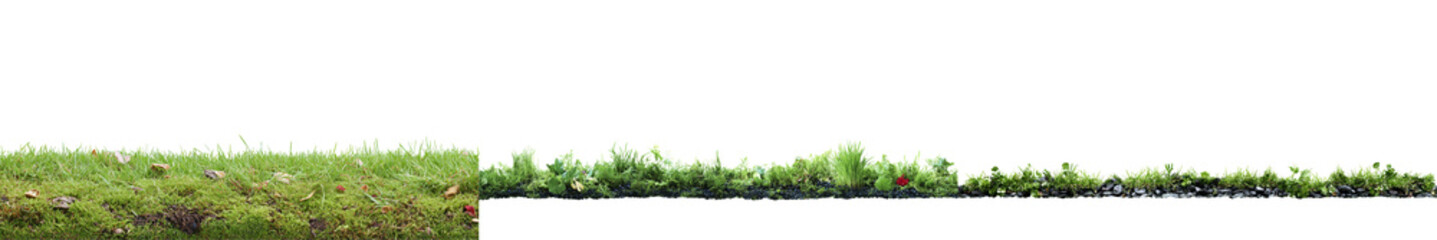 Fototapeta premium Fresh green grass, isolated on a white background, evokes nature's vibrant growth and the essence of spring or summer meadows