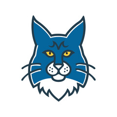 Blue Maine Coon cat face illustration with detailed features  