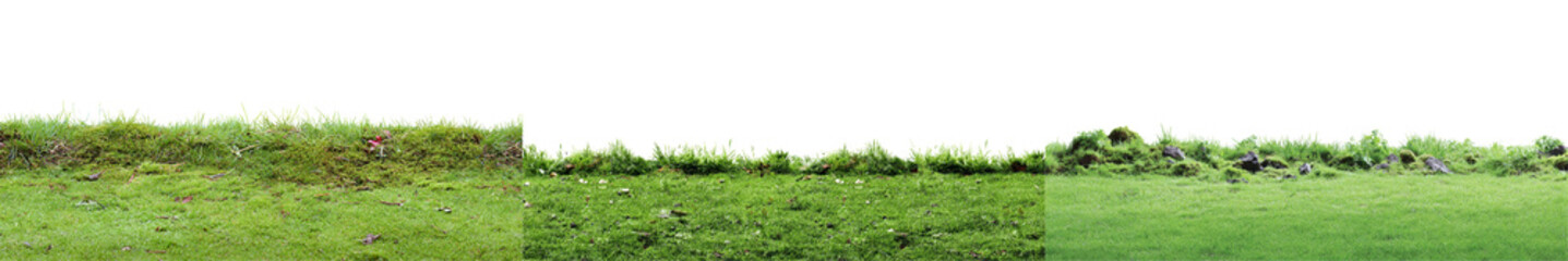 Lush Green Grass Along a Scenic Landscape with Vibrant Nature in the Background