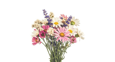 Colorful Flower Bouquet with Daisies Lavender and Pink Flowers on Transparent Background