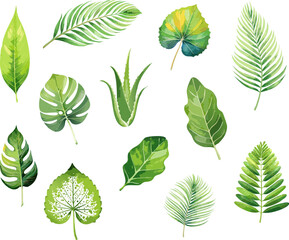 A set of watercolor painted leaves depicting various shapes and shades of green