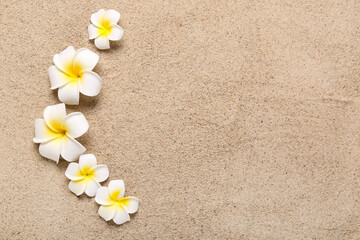 Plumeria flowers on sand, top view