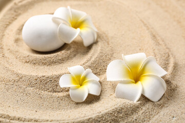 Plumeria flowers with stone on sand, closeup
