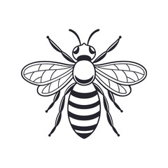 Bee front view icon with wings and stripes, simple clean design vector illustration