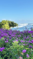 Obraz premium flowers on the beach