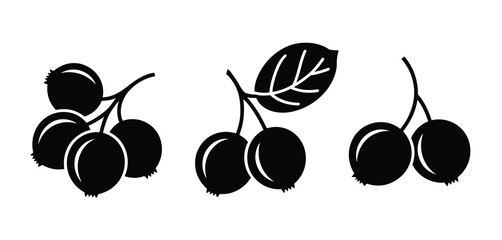 Simple black silhouette of berries on branches with a single leaf