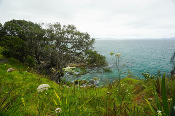Beautiful view at Waipu beach in Whangarei, New Zealand on cloudy day.	