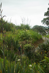 Beautiful view at Waipu beach in Whangarei, New Zealand on cloudy day.	