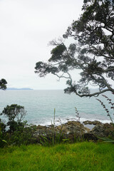 Beautiful view at Waipu beach in Whangarei, New Zealand on cloudy day.	