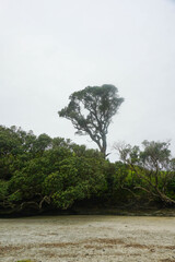 Beautiful view at Waipu beach in Whangarei, New Zealand on cloudy day.	