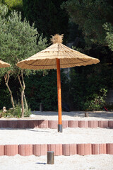 reed parasol