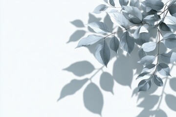 The silhouette of lovely grayish white foliage on a gradient white backdrop for graphic design