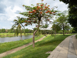 Sala Urban Park in Ho Chi Minh City, Vietnam