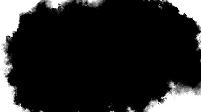 Transitions of black expanding paint stains white backdrop Grunge Ink spreads and fills the screen. flows and streams Black ink spot spreading from center. Video revealer white black solid transition