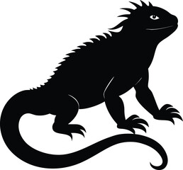 Obraz premium Black Silhouette of a Marine Iguana Crawling