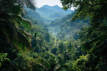 Fototapeta premium Asian tropical rainforest