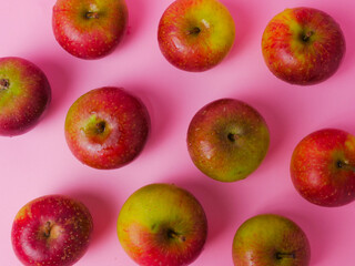 Fresh green red apple isolated on pink background. Apel malang, apel manalagi, wild apple, fruit. Malus sylvestris
