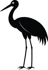 Silhouette of a Marabou Stork Standing with Long Legs