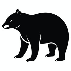 Silhouette of a Sun Bear Standing on All Fours