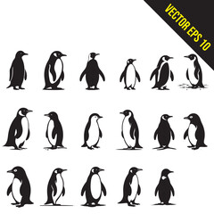 Fototapeta premium set of Silhouette penguin standing graphic animal black and white vector illustration