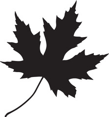  Detailed Maple Leaf Silhouette