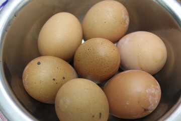 chicken eggs in a bowl