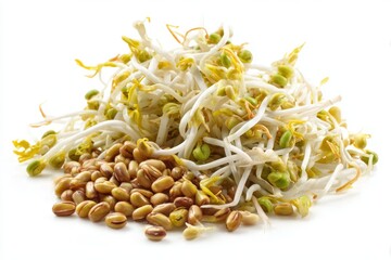Isolated mung beans and sprouts on a white background Sprout cultivation Aerial view