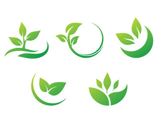 Set of green leaf ecology icon, leaf isolated on white background. Environment and Nature Symbol, Vector illustration.