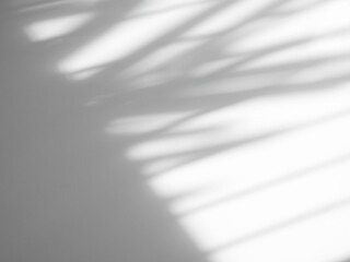 Background shadow white light wall floor backdrop overlay leaf mockup summer sunight overlay nature on room cement abstract blur muckup effect grey minimal platform for presentation product