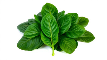 Fresh green spinach leaves, isolated on white background and natural soft shadows