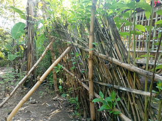 Photo of an Old Rickety Bamboo Fence in the Village