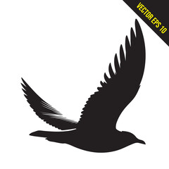 seagull flying silhouette vector illustration