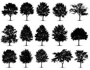 Silhouettes of various trees (1)