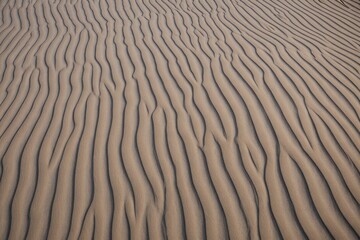 Rippled Sand Dunes texture pattern