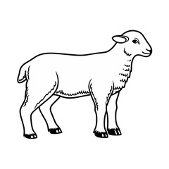 vector illustration of a dog