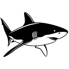 Fototapeta premium shark vector illustration