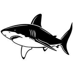 shark vector illustration