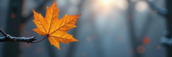 Last golden leaf on stark winter branch, soft focus backdrop , bokeh, branch