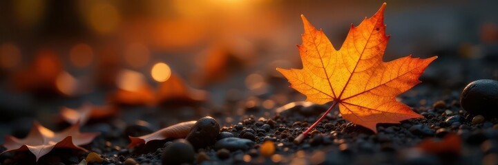 Single autumn leaf, rich orange hue against deep shadow , close-up, autumn colors, leaf