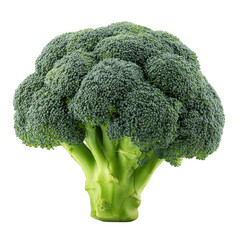 A Vibrant Green Head of Broccoli Close-Up, Fresh and Nutritious Vegetable