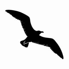 Silhouette of a seagull in flight against a stark white background soaring