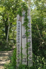神仙沼の看板