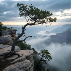 Serene landscape of a single windswept tree growing on a gentle hillside, surrounded by calm skies and soft natural light.