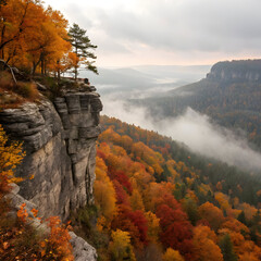 Sharp rocky cliff overlooking a forest of orange trees, with vibrant autumn colors and a clear sky, creating a striking natural view.