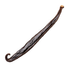 Vanilla Bean on isolated transparent cutout PNG Background