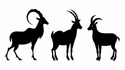 Silhouette depiction of three ibexes with different horn shapes standing side by side on a white background
