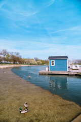 Serene scenery showcases a small wooden hut by the waterside, surrounded by nature, with ducks peacefully paddling along and vibrant blue skies enhancing the calm and natural ambiance.